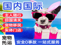 铜仁凤凰机场物流国际宠物托运 【国